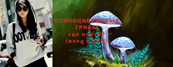амф Алзамай