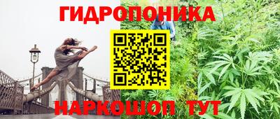 прущие крисы Волгодонск