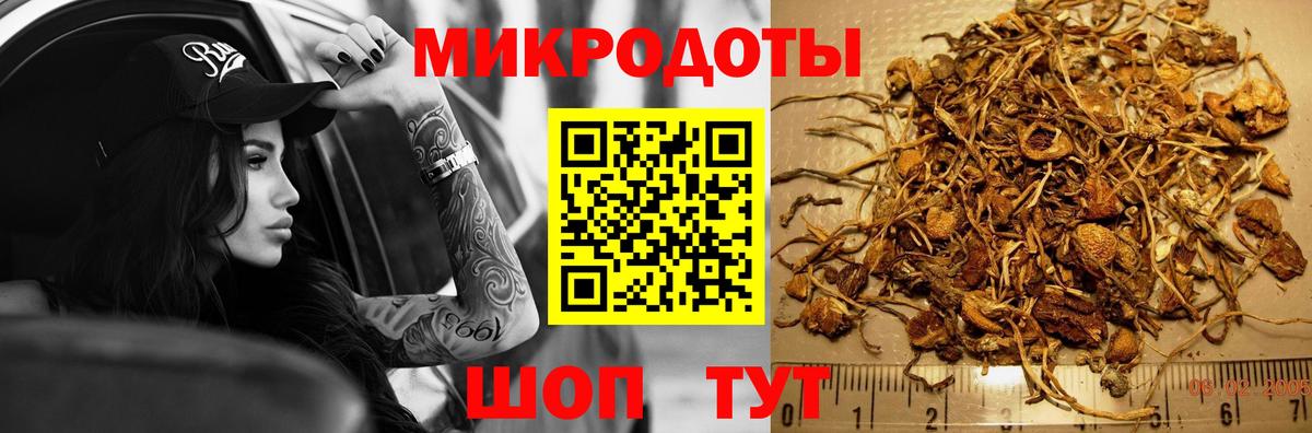 Псилоцибиновые грибы ЛСД Камышлов