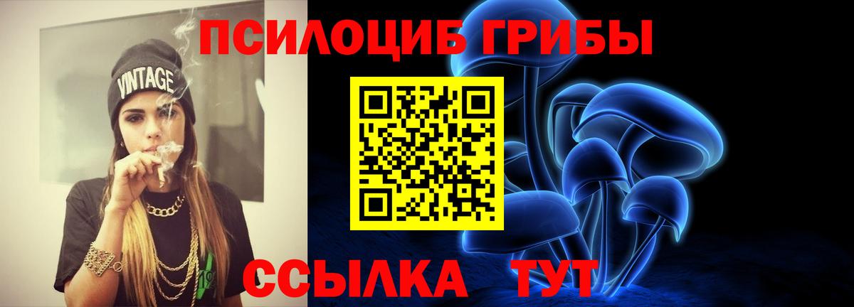 Галлюциногенные грибы мицелий  Псилоцибиновые грибы MAGIC MUSHROOMS  Камышлов  Вход с VPN 